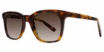 Tortoiseshell