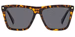 HAVANA (GREY POLARIZED)