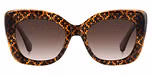 BROWN / BROWN SHADED POLARIZED