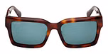 DARK HAVANA / DARK HAVANA / GREEN