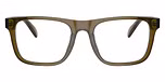 Transparent Olive