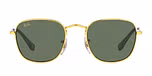 LEGEND GOLD / gold / dark green