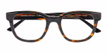 HAVANA (BROWN) DARK SHINY