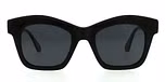 Black / Polarized