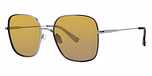 Silver / Polarized