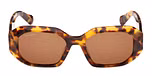 BLONDE HAVANA / BLONDE HAVANA / BROWN