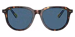 Shiny Dark Havana / Dark Blue