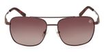 SHINY DARK BROWN / SHINY DARK BROWN / BROWN POLARIZED