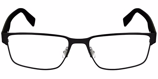 Lacoste - L2298