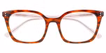 HAVANA (BROWN) MEDIUM DEMI