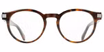BROWN TORTOISE
