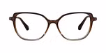 Brown / Transparent, Gold
