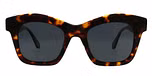 Tortoise / Polarized