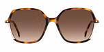 HAVANA (BROWN SHADED)