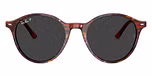 Transparent Shade Fantasy Red / Black Polarized