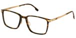 HAVANA/GOLD