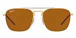 ARISTA / gold / dark brown polarized