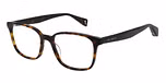 GLOSS CLASSIC TORT