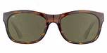 Shiny Classic Tortoise / Saturn Polarized 555nm / Eco-Nylon