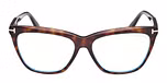 DARK HAVANA / DARK HAVANA