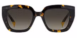 HAVANA (BROWN SHADED / GRADIENT)