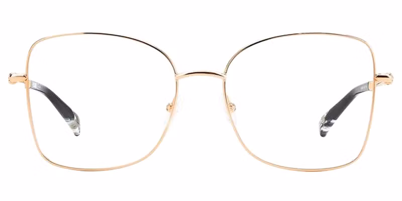 MIS 0098