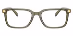 Transparent Olive