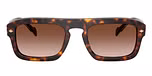 Dark Havana / Brown / Gradient Brown