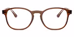 Brown On Transparent Light Brown