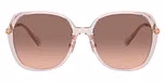 Transparent Rose / Brown Pink Gradient