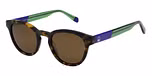 G. CLASSIC TORTOISE