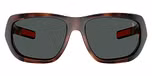 Shiny Dark Havana / Dark Grey