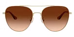 Shiny Light Gold / Brown Gradient