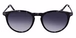 BLACK TORTOISE