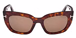 DARK HAVANA / DARK HAVANA / BROWN POLARIZED / BIO ACETATE