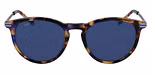 BROWN BLUE TORTOISE