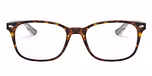 TOP HAVANA ON TRANSPARENT / havana