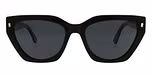 Black / Polarized
