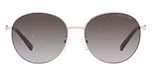 LIGHT GOLD / Dark grey gradient
