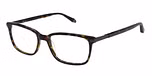 GLOSS DARK TORT