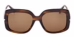 LIGHT BROWN/STRIPED / SHINY PALLADIUM / GREEN