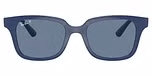 Blue / Dark blue polarized