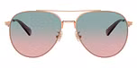Shiny Rose Gold / Forest Grape Gradient