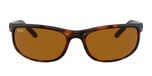 DARK HAVANA / havana / b-15 brown