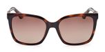 dark havana / brown polarized