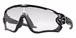 POLISHED BLACK / black / clear to black photochromic