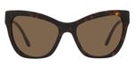HAVANA / havana / dark brown