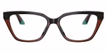 Transparent Brown/Teal