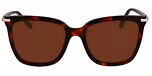 RED TORTOISE