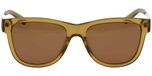 BROWN / Brown uni / Polarized